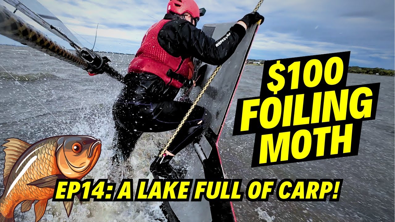 Sailing in a lake full of Carp! $100 Foiling Moth EP14