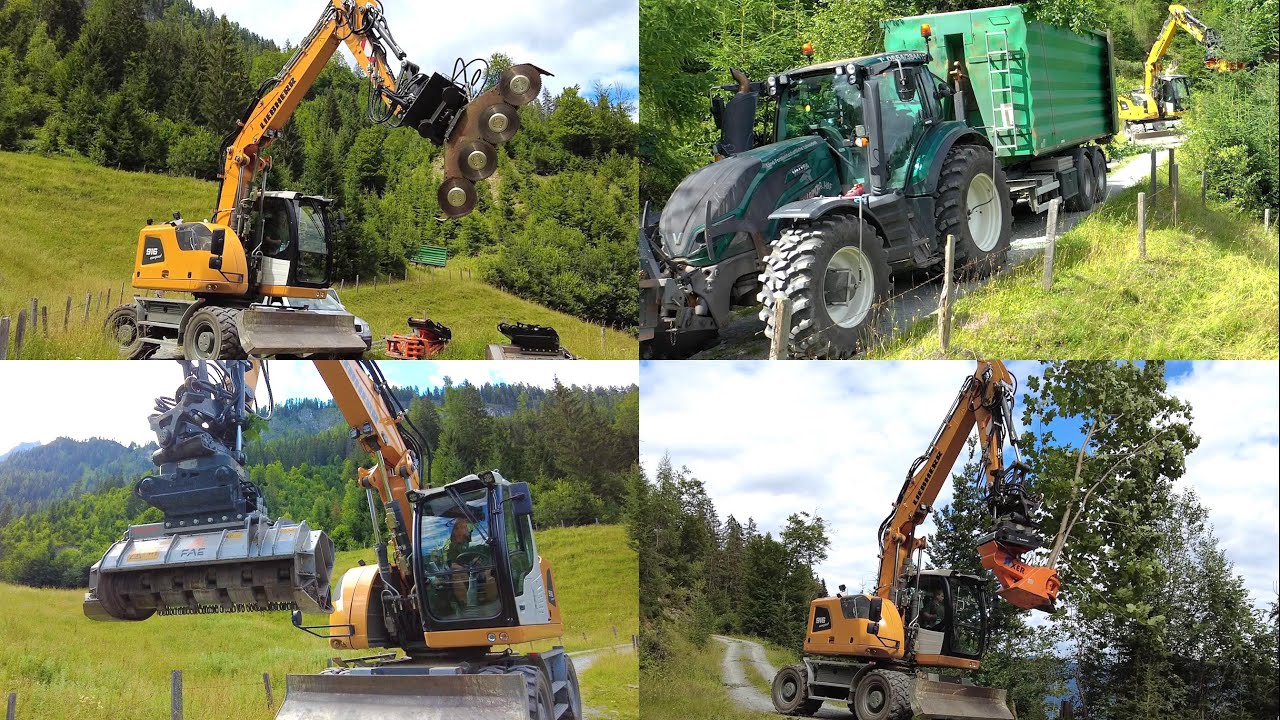 Wegerhaltung LU-Dengg | Forstarbeiten, Mulcher Liebherr, Valtra, Oilquick, FAE, AXER Fällgreifer