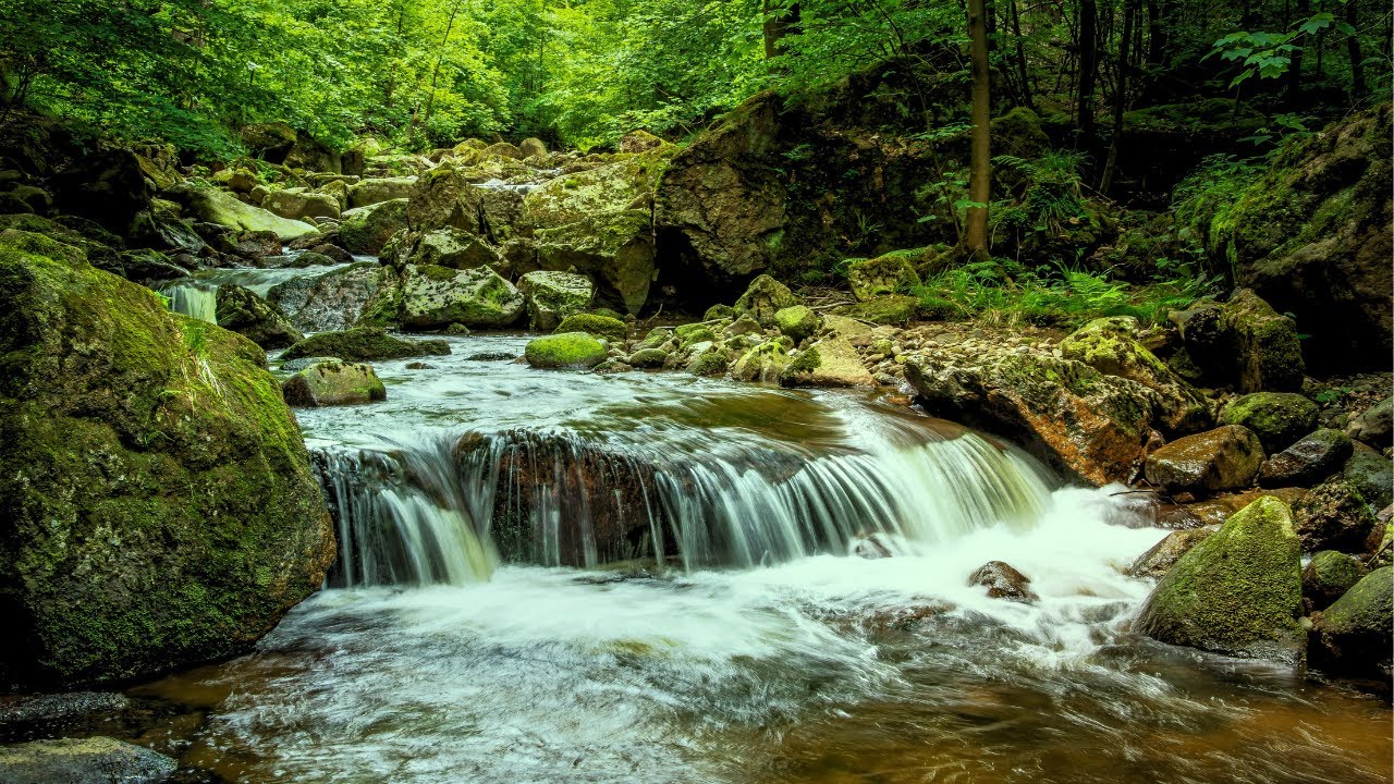 Relaxing Nature Sounds: Forest River Flowing Gently