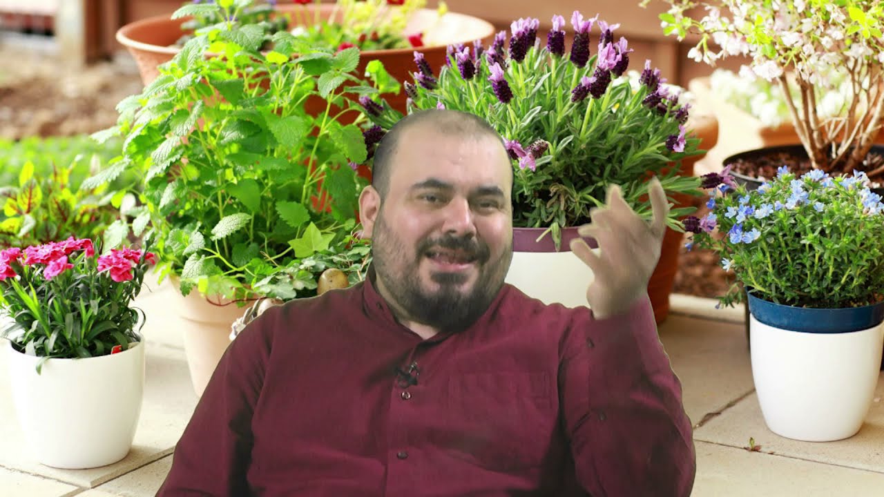 RÜYADA SAKSI GÖRMEK Esved Dini Rüya Tabirleri ve Yorumu Rüya Tabiri