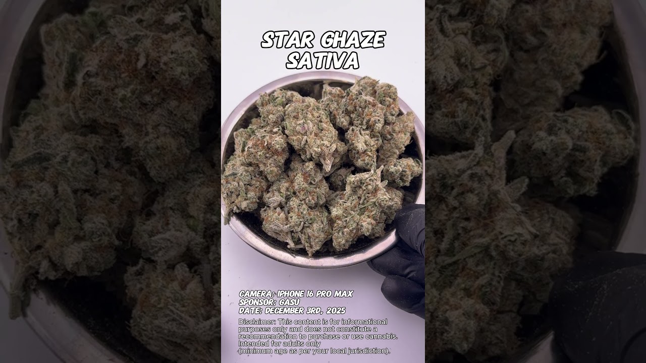 Star Ghaze | Gasu Sponsored | Strain Spotlight