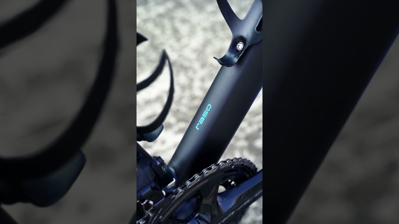 SARTO Raso Uni-directional Black and Blue