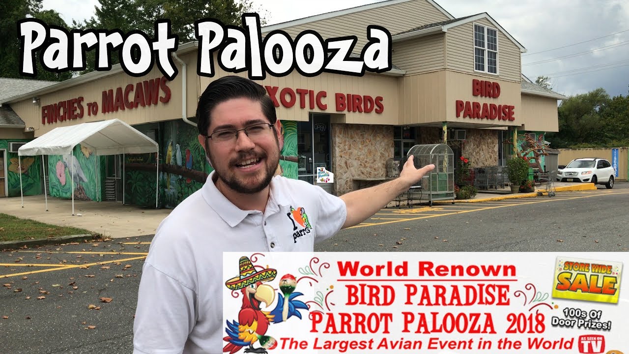 A Visit to Bird Paradise Bird Store and Upcoming Parrot Palooza 2018
