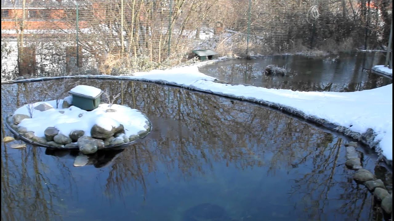 froideur de l'hiver