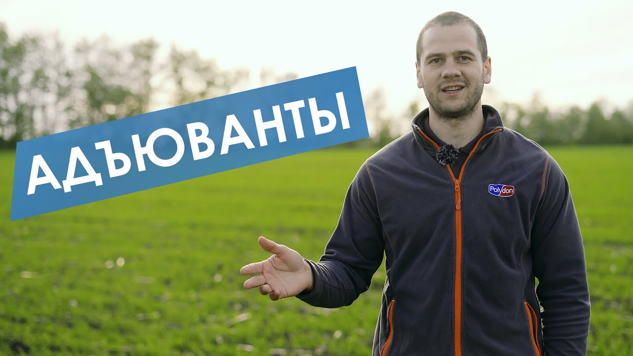 Адъюванты