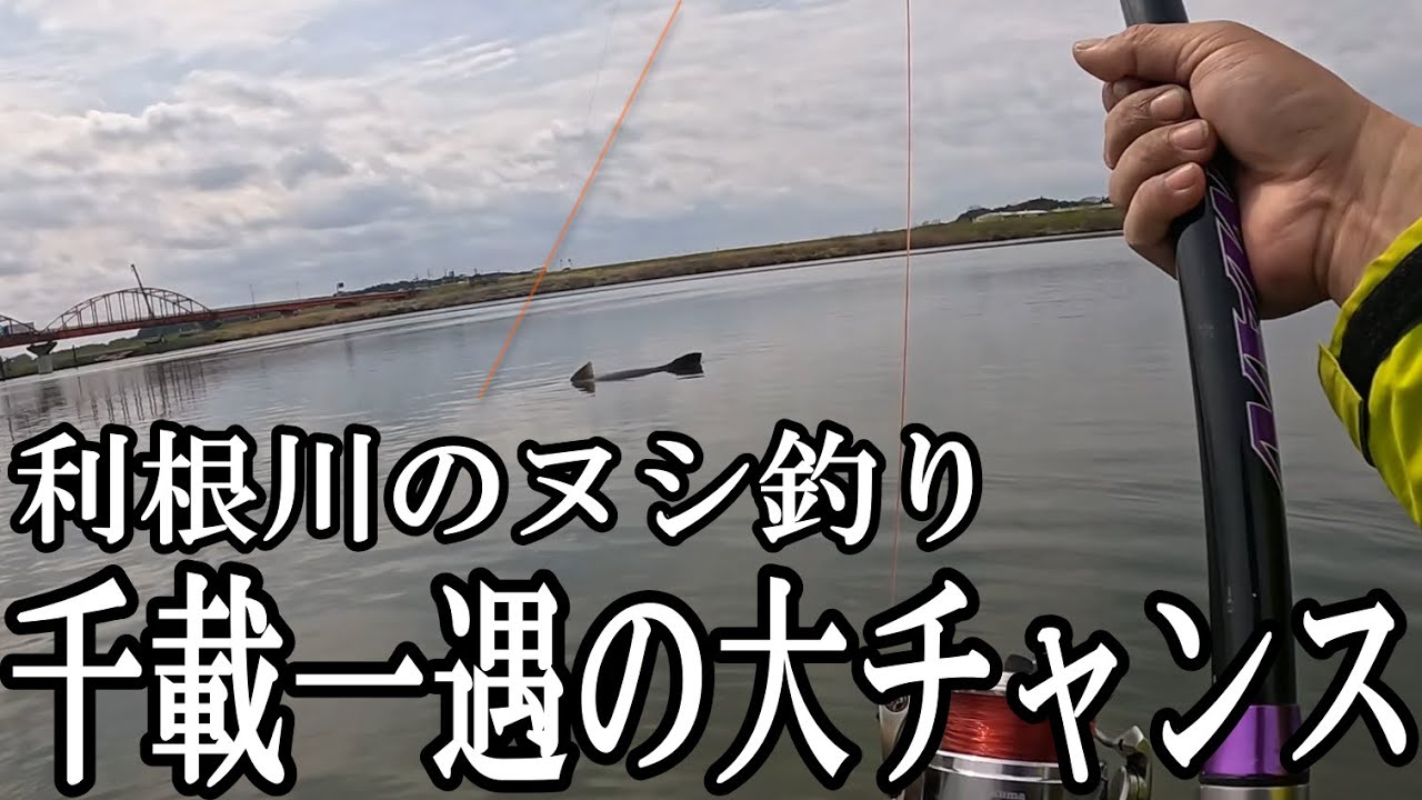【1.5m級】年に数匹しか釣れない幻の超巨大魚まであと数ｍ…。心臓バクバクの戦いで緊張せずにはいられません!!!!!