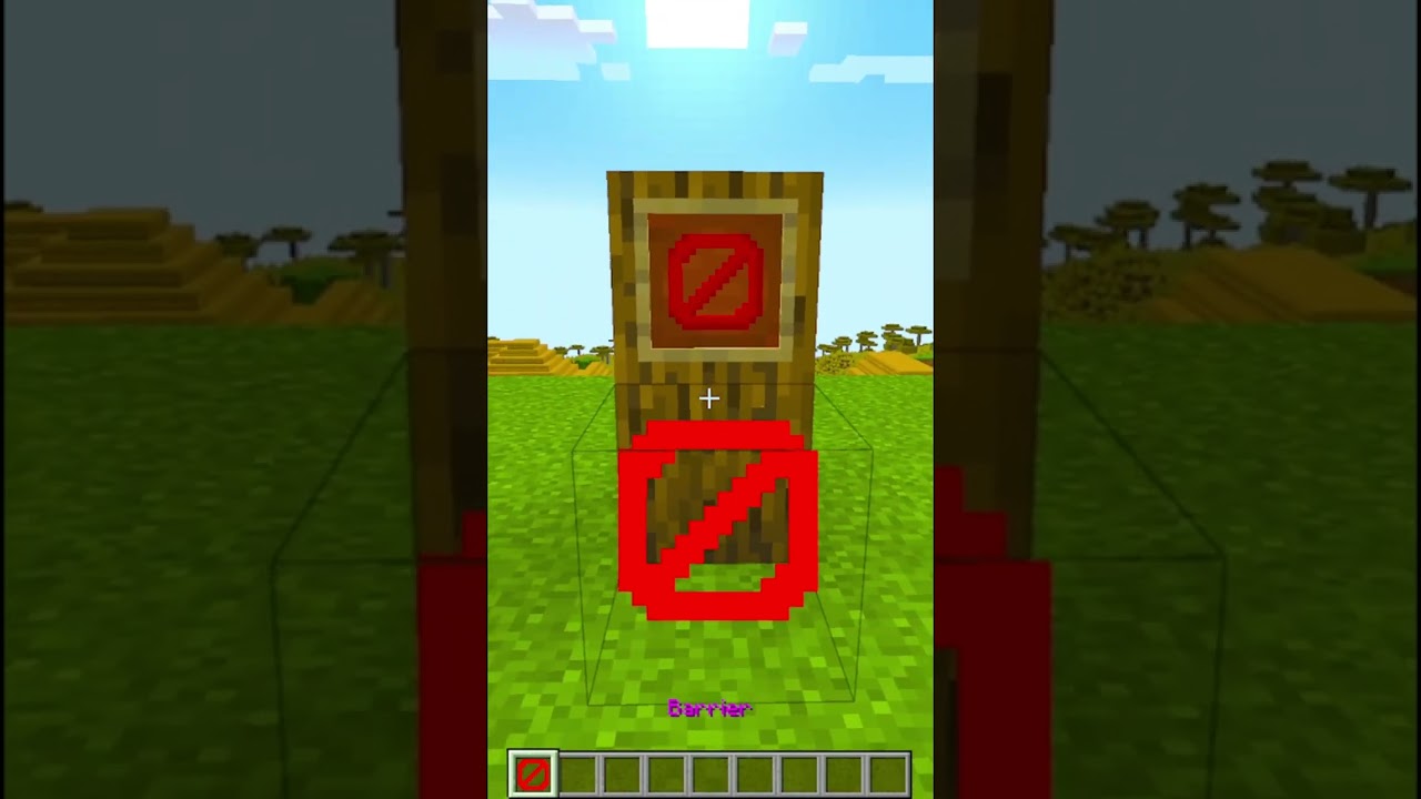 5 BLOCCHI SEGRETI DI MINECRAFT