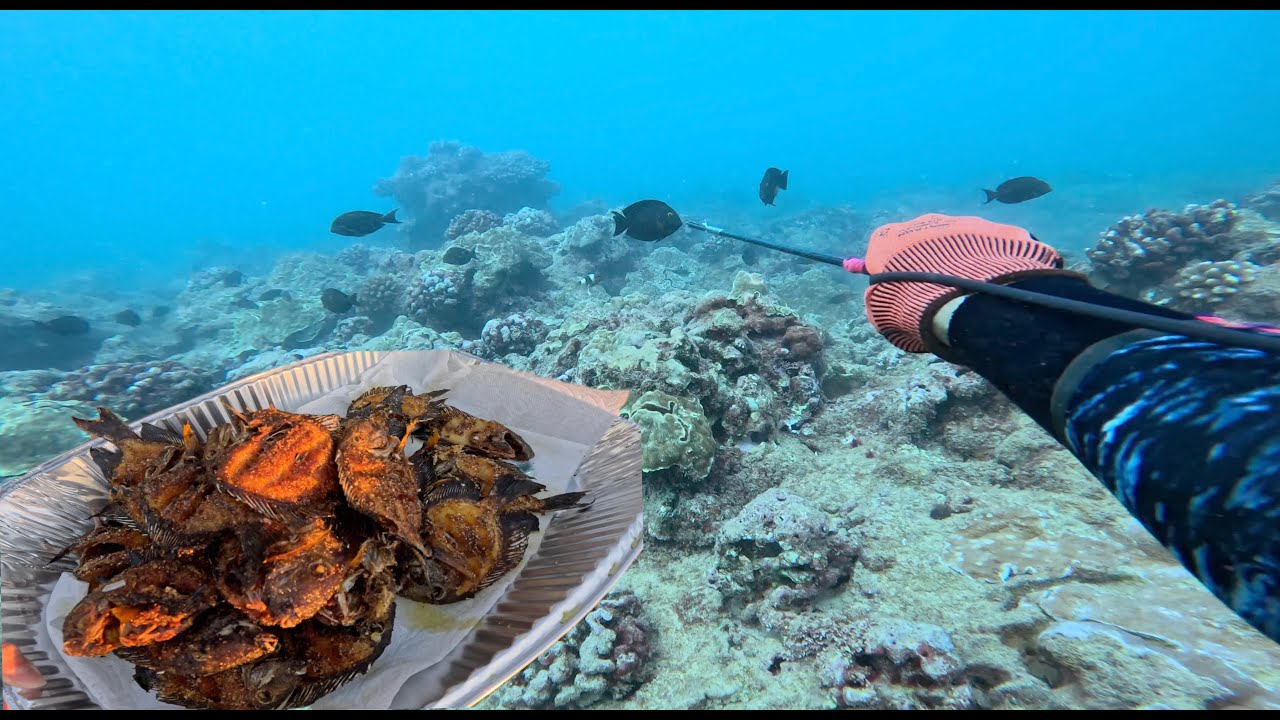 Best Tasting Fish in All of The Landz! Promise to Gawd! / 3 Prong Kole / Spearfishing Hawaii