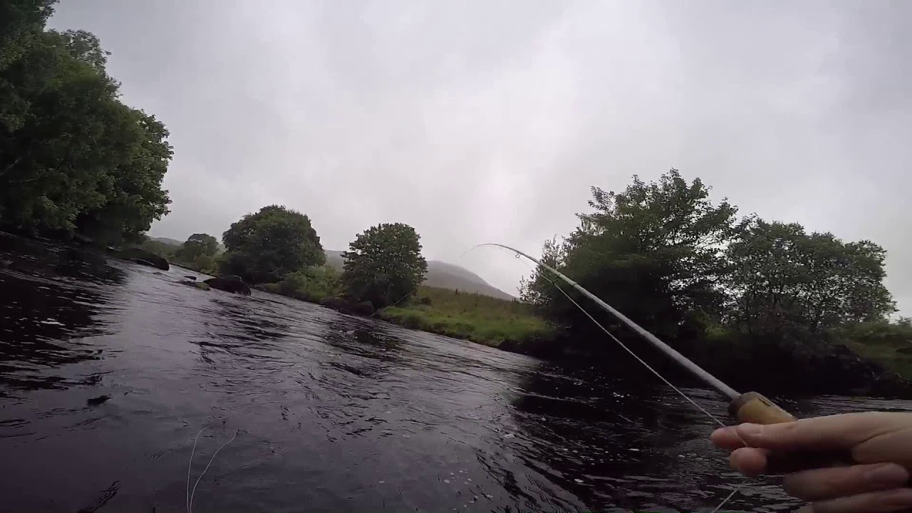 Screaming reels - June 2018