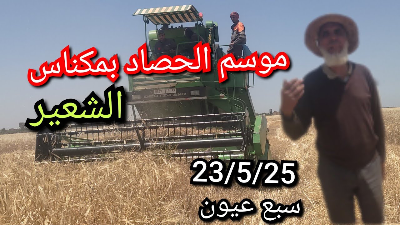 انطلاق موسم الحصاد بمدينة مكناس ( الشعير) العام زين الحمدلله والخيرات موجودة