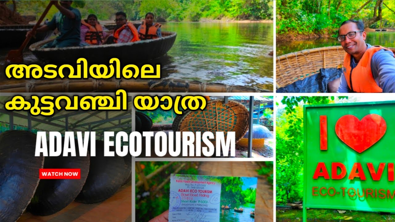 അടവിയിലെ കുട്ടവഞ്ചി യാത്ര | Adavi Eco Tourism | Pathanamthitta tourist places | Kerala tourism 