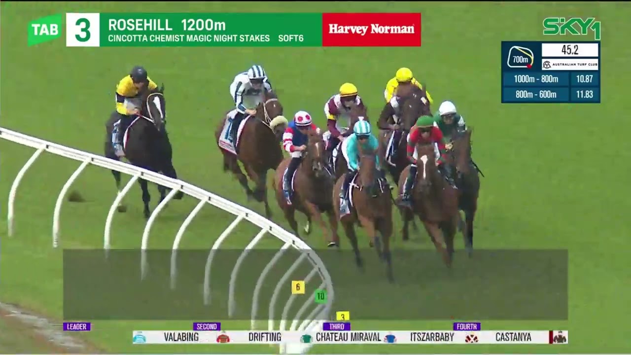 Magic Night Stakes 2024 - DRIFTING (2YO OPEN SW G3 F) Group 3 Rosehill 16 March