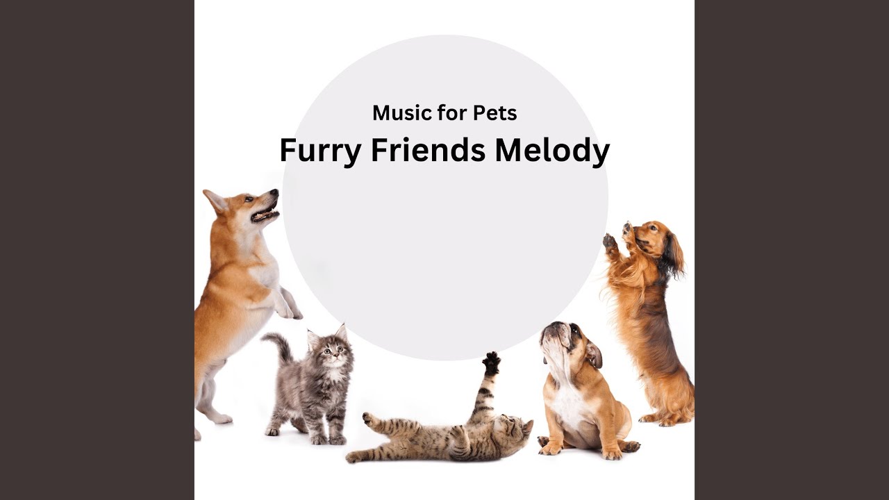 Feather and Fur Harmony