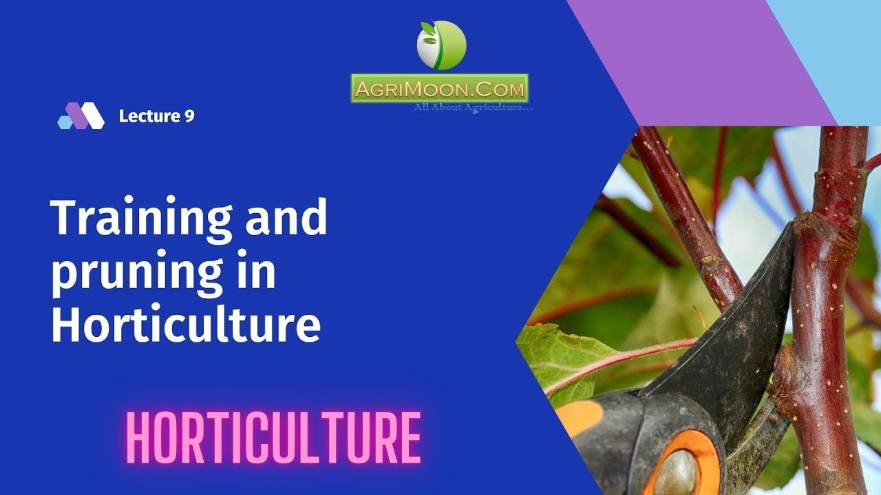 Training and pruning in Horticulture | Horticulture | Lecture 9 | Debjani Pandit | AgriMoon
