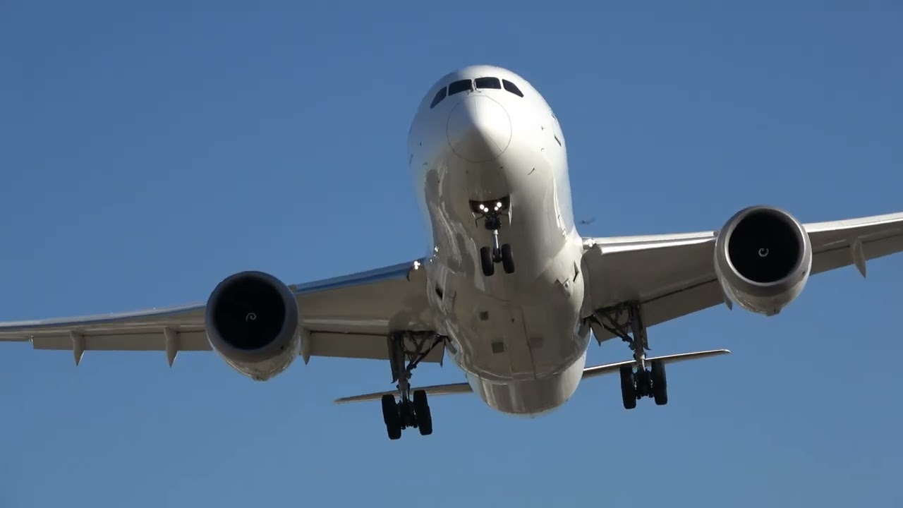 【4K】頭上すれすれで巨大飛行機が通過する千里川の土手から観た大阪空港の着陸