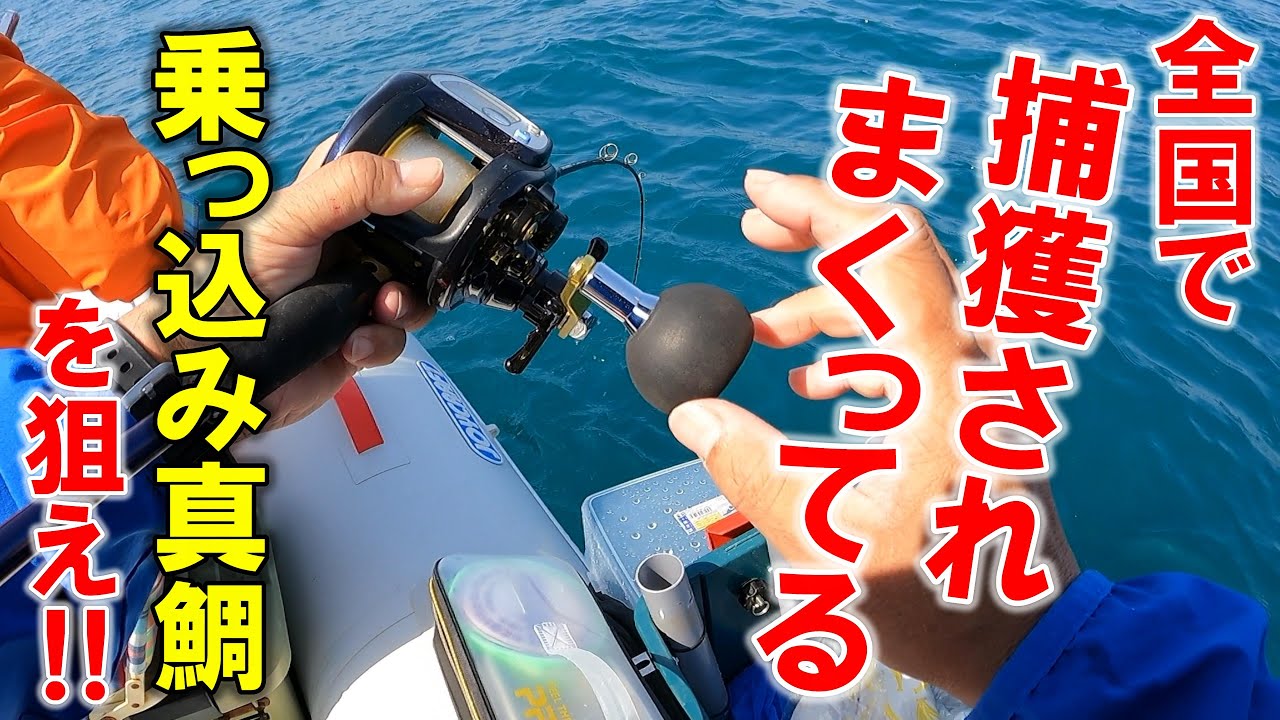 ページ79　SNSで連日賑わっている乗っ込み真鯛を狙ったら楽しすぎた‼
