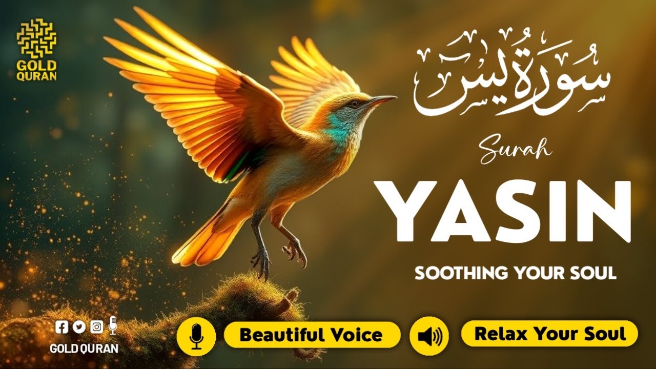Peaceful Surah Yasin for Insomnia Relief, Emotional Healing, Mental Calm ✦ Quran For Sleep ✦ سورة يس