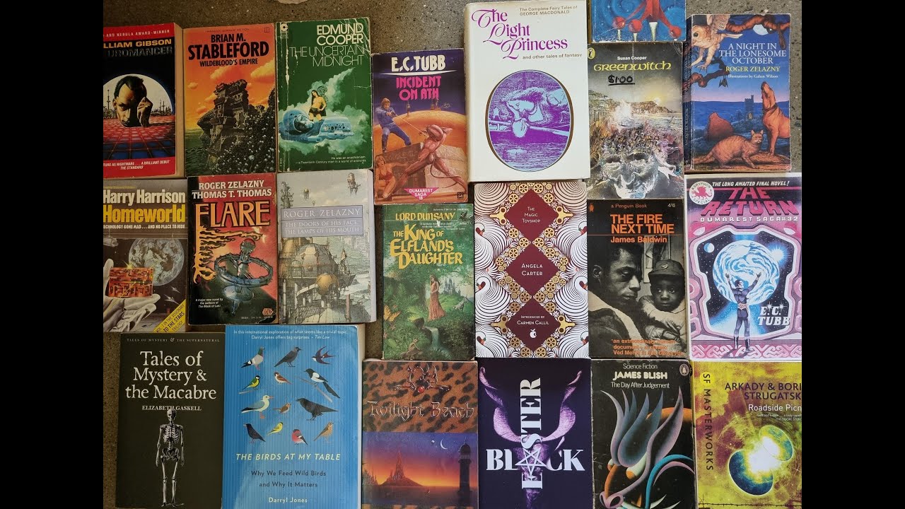 My five star reads from 2025