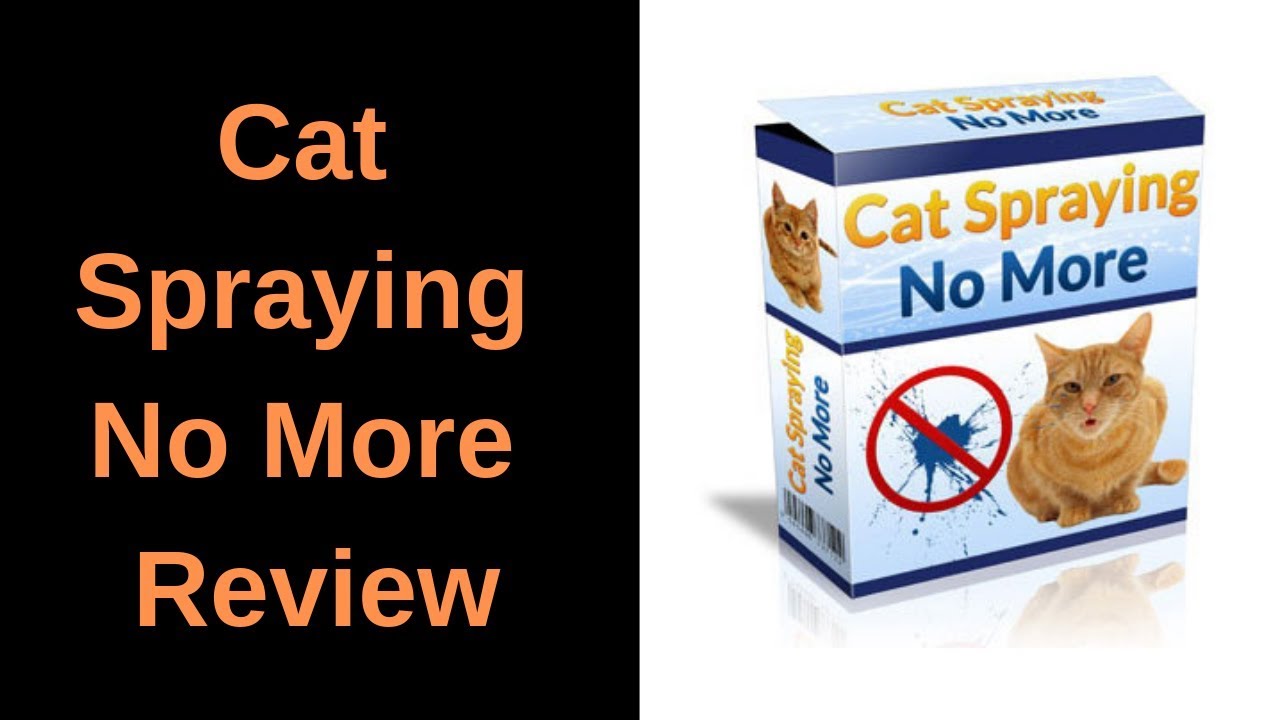 Cat Spraying No More Review - What is inside the pdf!