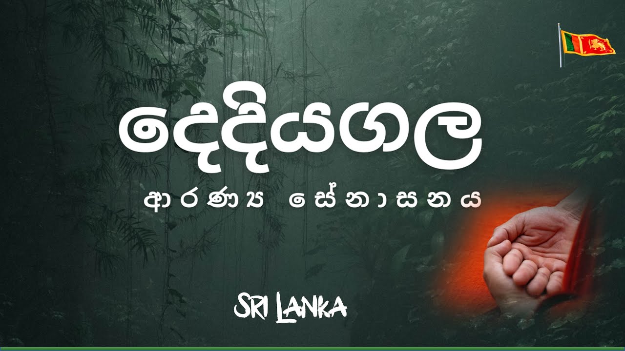 Connecting with Nature at Dediyagala Forest Hermitage (Sri Lanka)  | දෙදියගල ආරණ්‍ය සේනාසනය