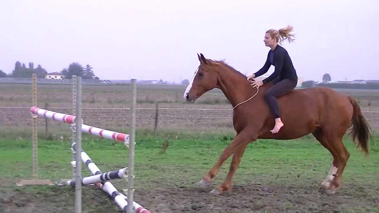 Free Riding - Horse jumping brideless 125 cm - Salto ostacoli senza finimenti - Goro e Chiara