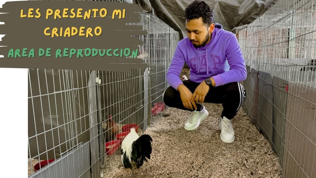 LES PRESENTO EL CRIADERO REMODELADO || NUEVA AREA DE REPRODUCCION 🔥👀