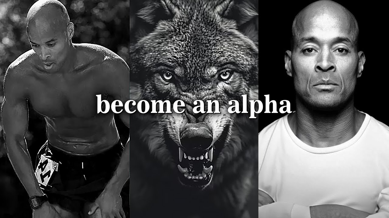 Become an Alpha | David Goggins Powerful Motivation