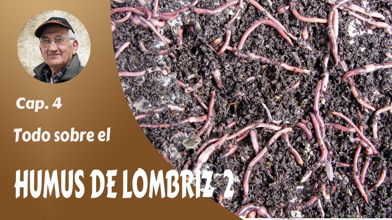 𝗛𝗨𝗠𝗨𝗦 𝗗𝗘 𝗟𝗢𝗠𝗕𝗥𝗜𝗭 4: Fertilizante natural. TODO SOBRE EL HUMUS DE LOMBRIZ (2)