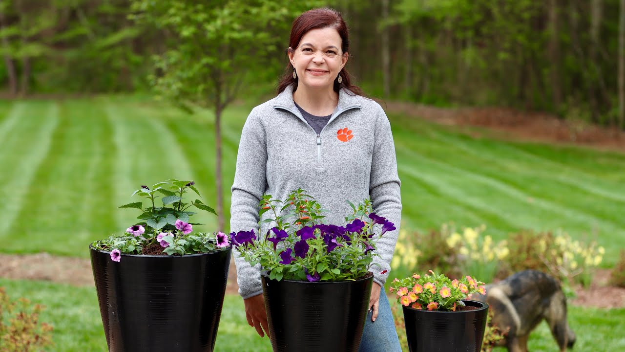 How to Attract Hummingbirds to Your Garden | Gardening with Creekside