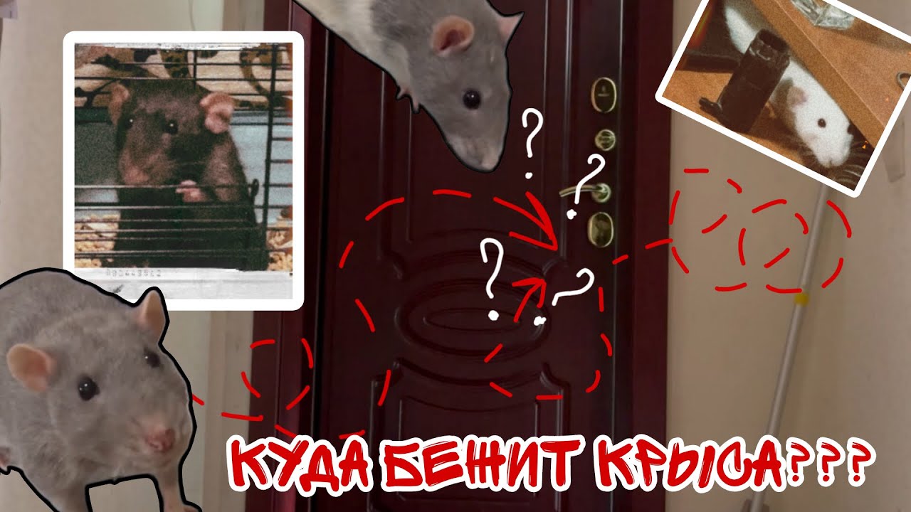 ВСЯ СЕМЬЯ В ШОКЕ...