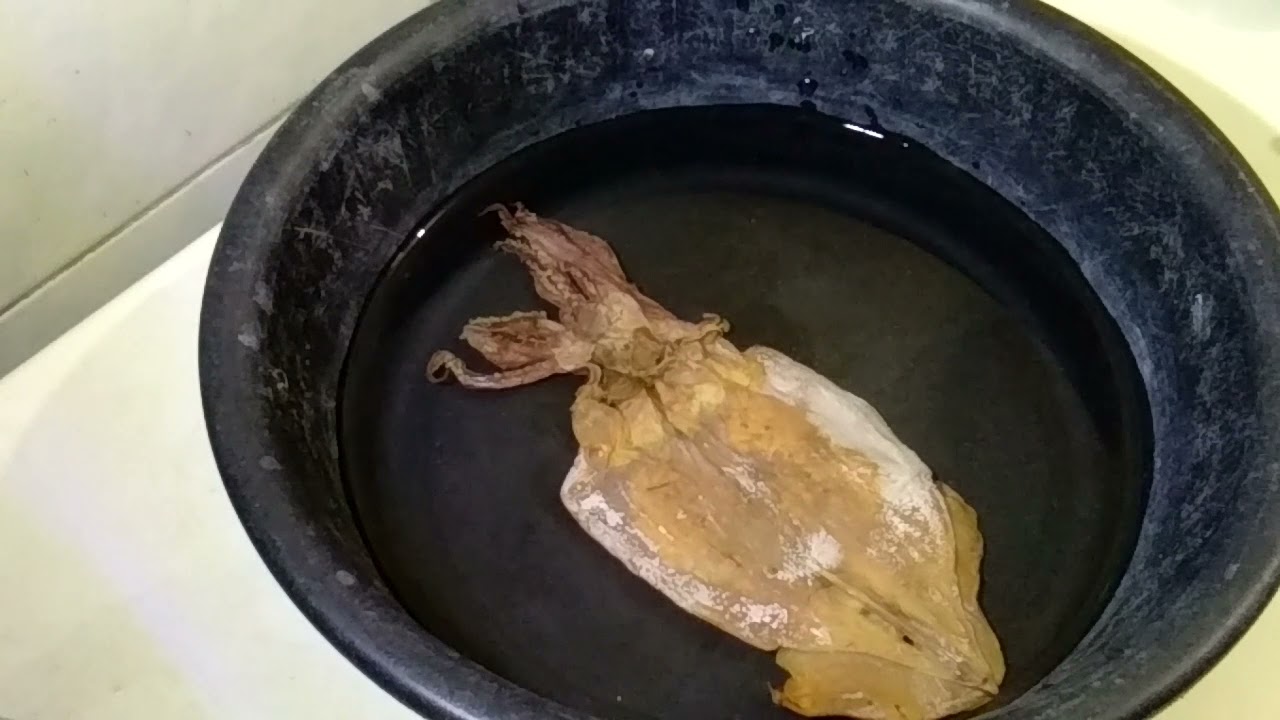 Cara Kembangkan Sotong Kering.