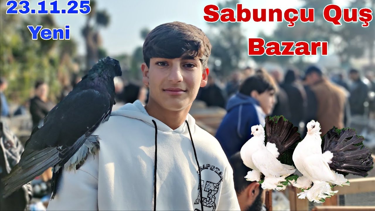 Sabun&ccedil;u Quş Bazarı 23 Noyabr 2025 @mubarizemintv2271 