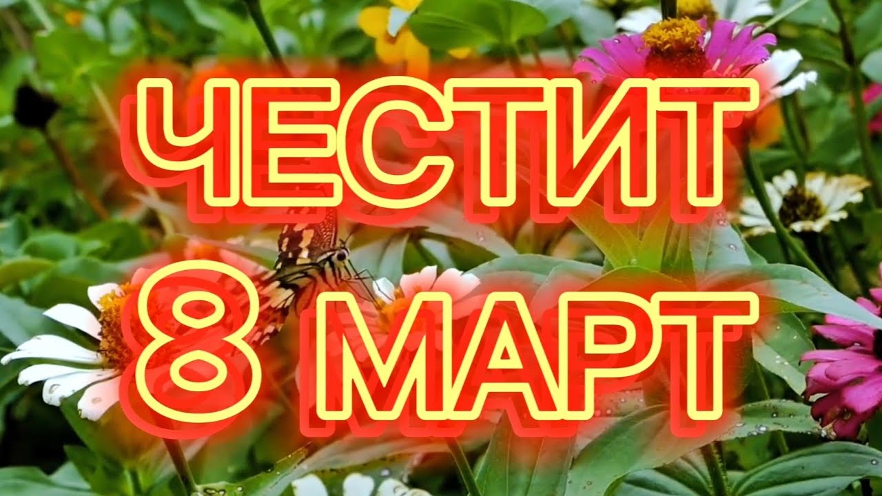 Честит 8 Март