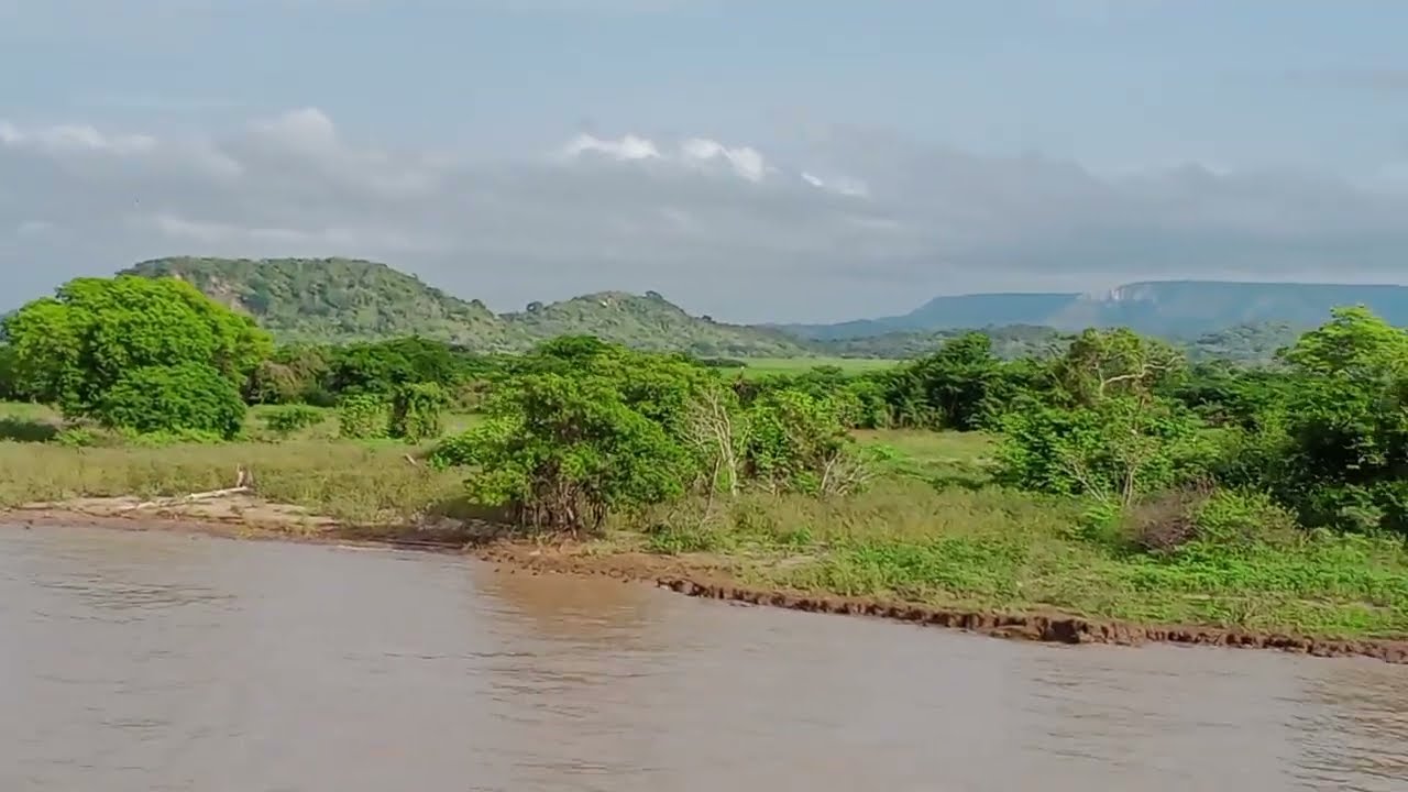 Florestas de Amazonas, no caminho para Manaus. Леса Амазонки на пути в Манаус.