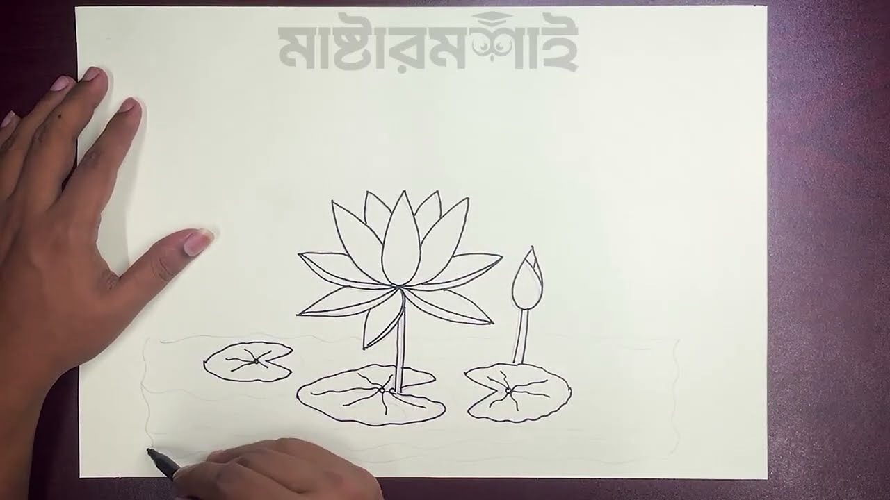 How to Draw a Lily Flower 🌸 | Easy Drawing for Beginners | আঁকা শেখা সহজ উপায়ে (শাপলা )