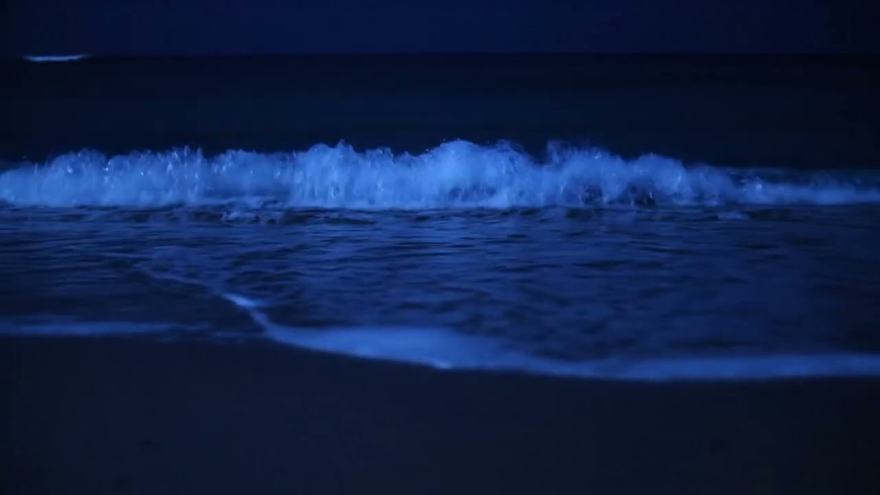 Midnight Waves on Black Sand: Dark Screen Ocean Sounds for Severe Insomnia (11 Hours No Talking)
