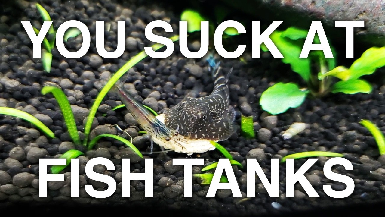How to make the BEST Fish Tank | YSAFT