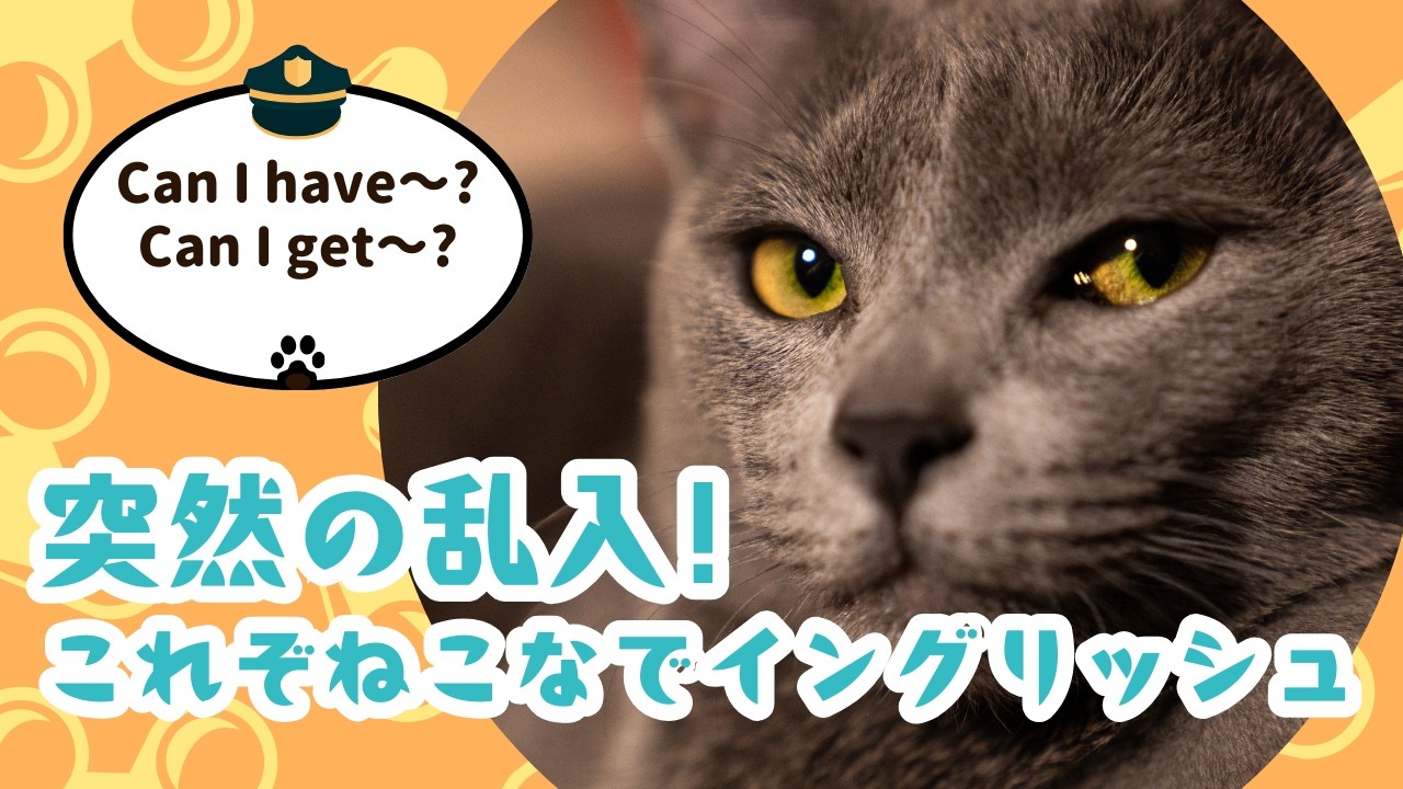 使える英語フレーズ 