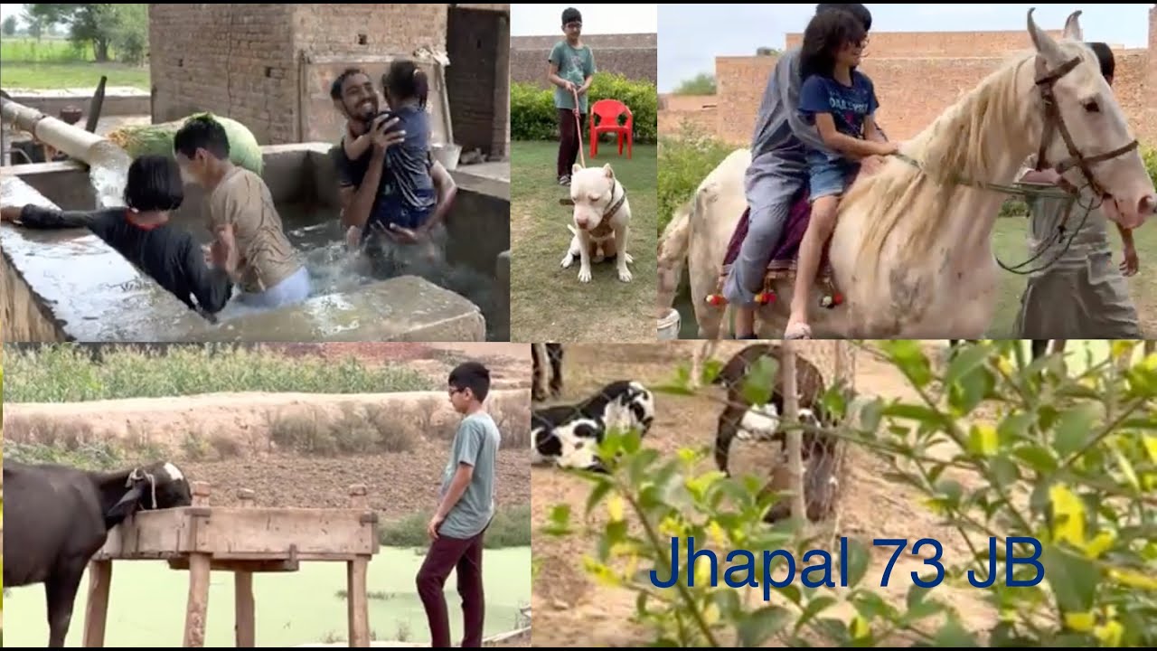 Visiting beautiful village Jhapal 73 JB, Jhang Rd Punjab Pakistan