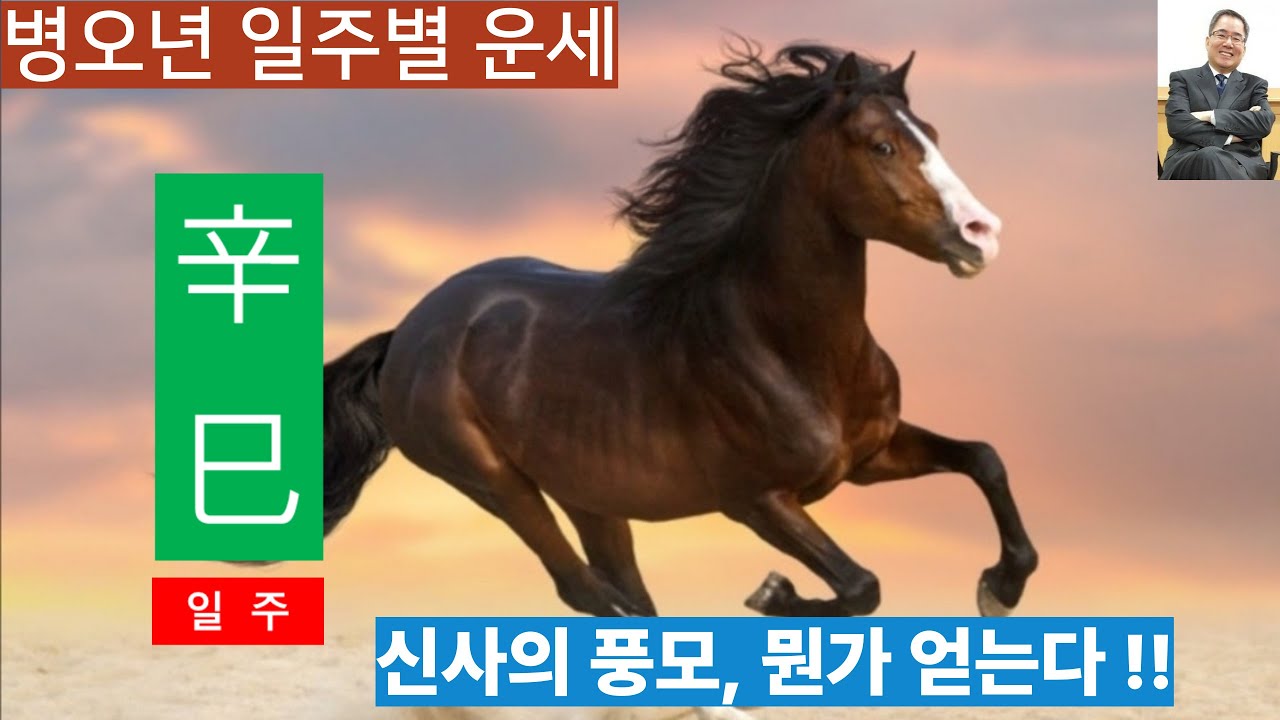병오년운세ㅣ신사일주, 신사의품격, 한가지 얻는 바가 있다