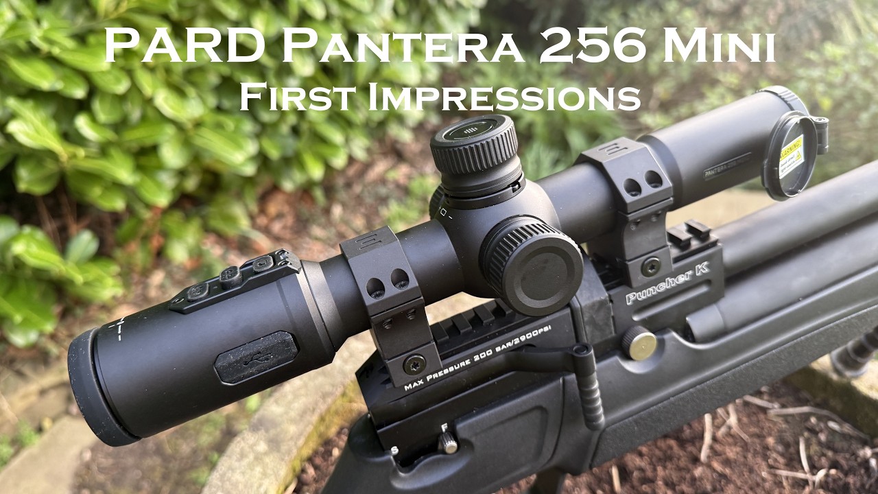 Тепловизионный прицел PARD Pantera 256 Mini: первые впечатления.