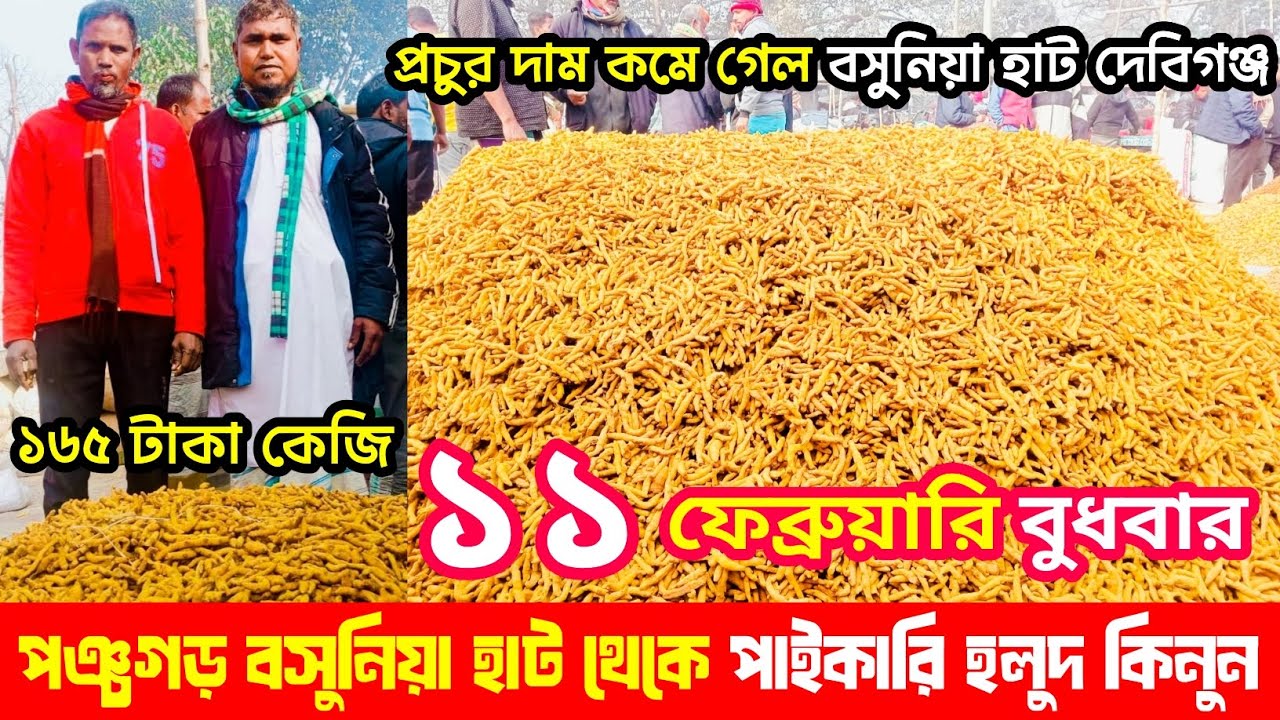 ১১ ফেব্রুয়ারি বুধবার | পঞ্চগড় বসুনিয়া হলুদের পাইকারি হাট |