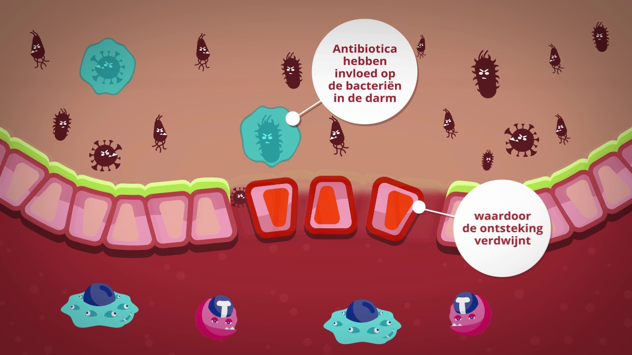 De werking van antibiotica