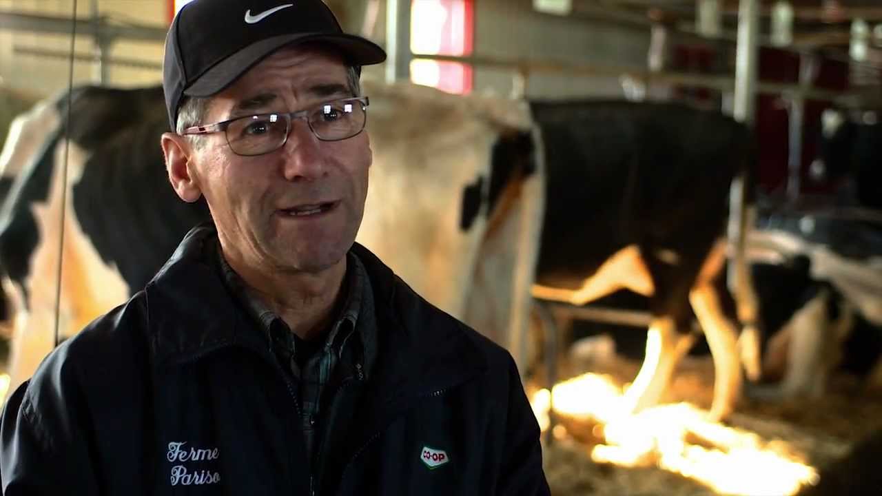 Prix transfert de ferme 2012-2013 | Ferme R&M Hallé - Ferme Pariso - Ferme Germec