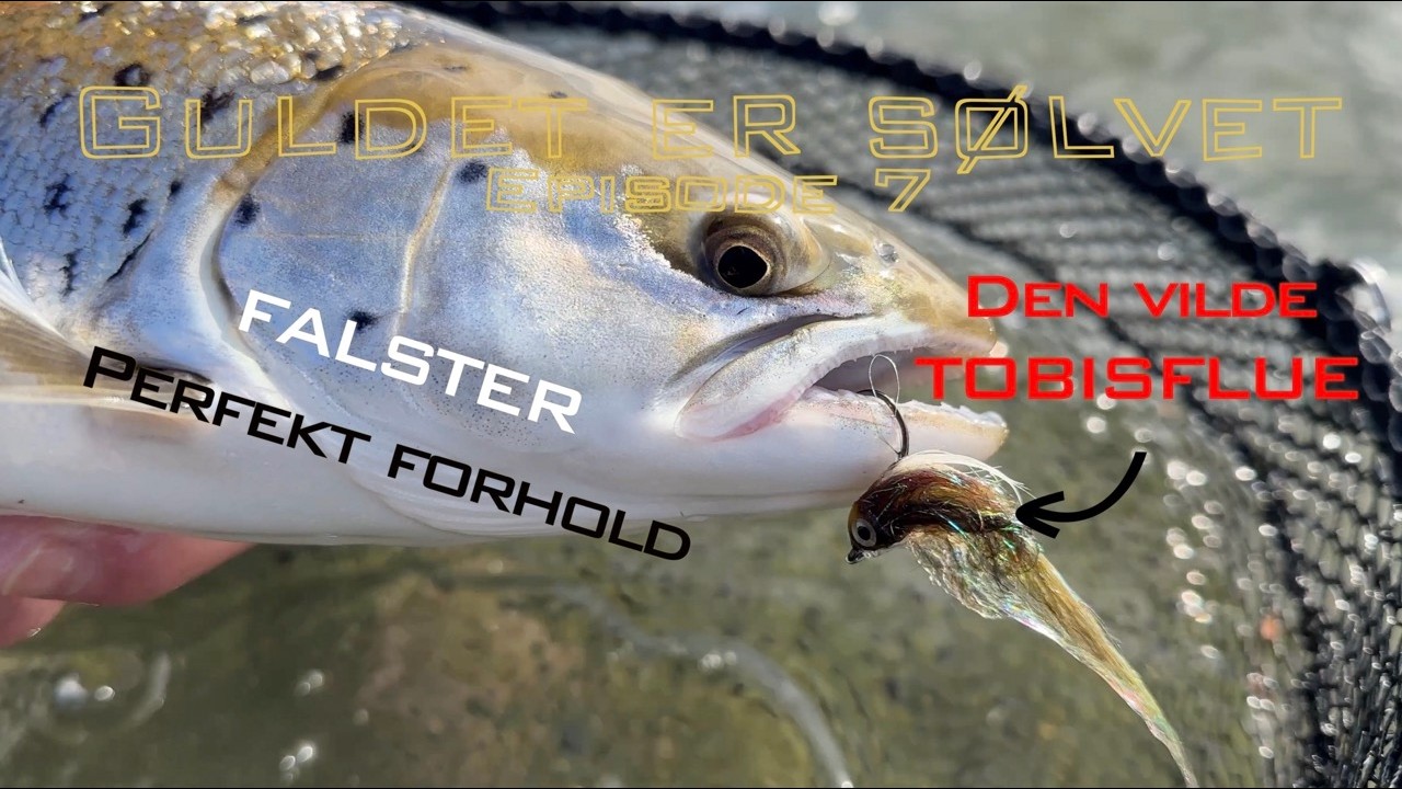 Sølvet er guldet, Episode 7, Falster - Hestehoved