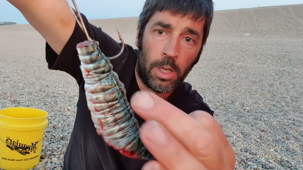 Tope Quest part 1  #chesil #jurassiccoast #tope #congereel