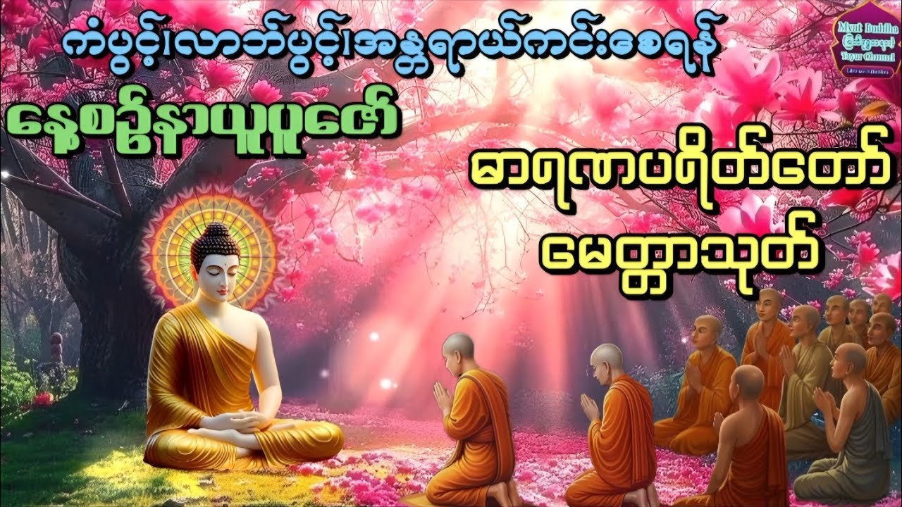 ဓာရဏပရိတ်တော်#မေတ္တာသုတ် #တရားတော်များ #တရားများ #ပရိတ်တရားတော်များ #တရားတော်များစုစည်းရာ၂၀၂၅ #