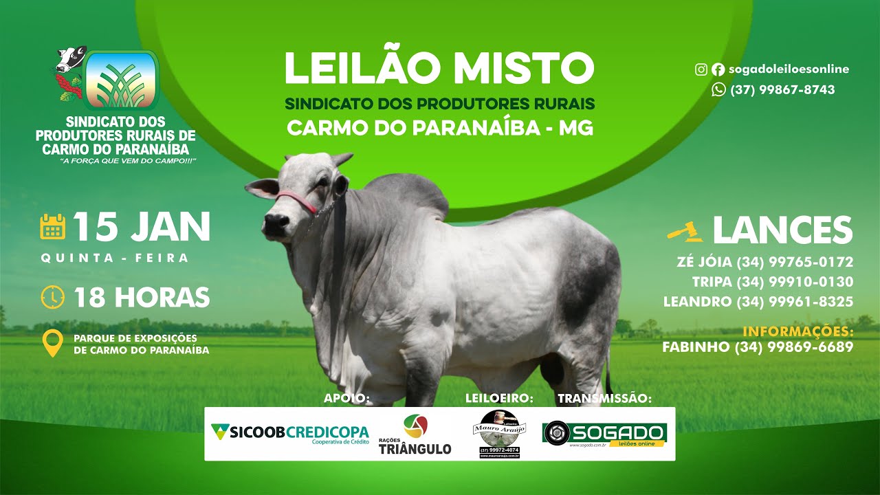 LEIL&Atilde;O MISTO - SINDICATO DOS PRODUTORES RURAIS DE CARMO DO PARANA&Iacute;BA/MG - 15/01/2026