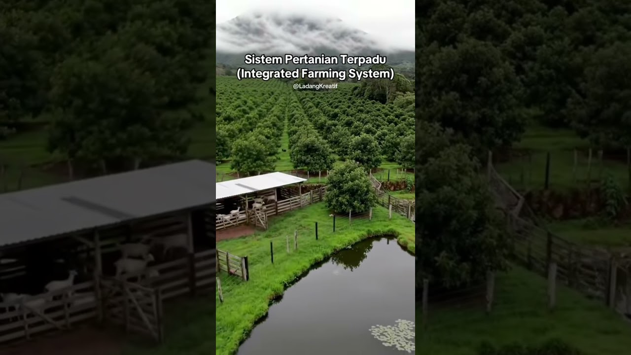 Integrated Farming System