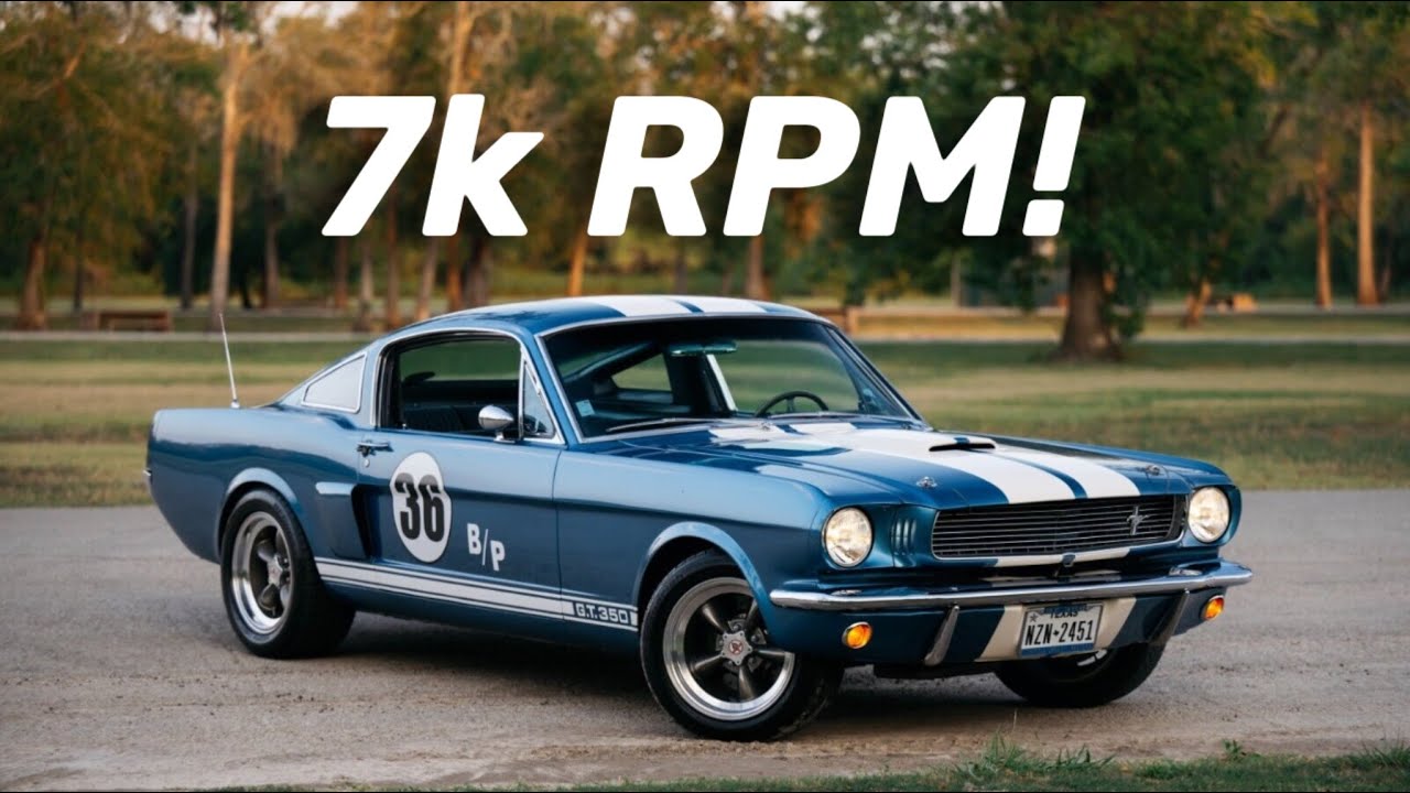 High RPM Ford small-blocks! COMPILATION